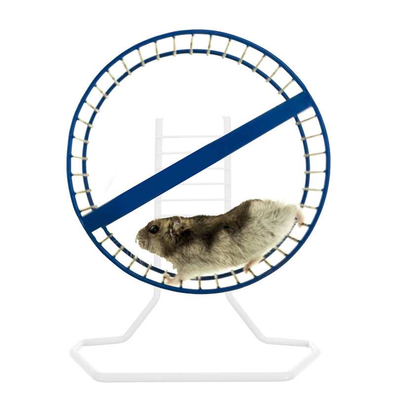 Skriešanas riteņa kronšteins Mājdzīvnieka kāmja vingrojumu turētājs Atbalsts Izslēgts Rotējoša gludeklis Ritoša rotaļlieta Sports