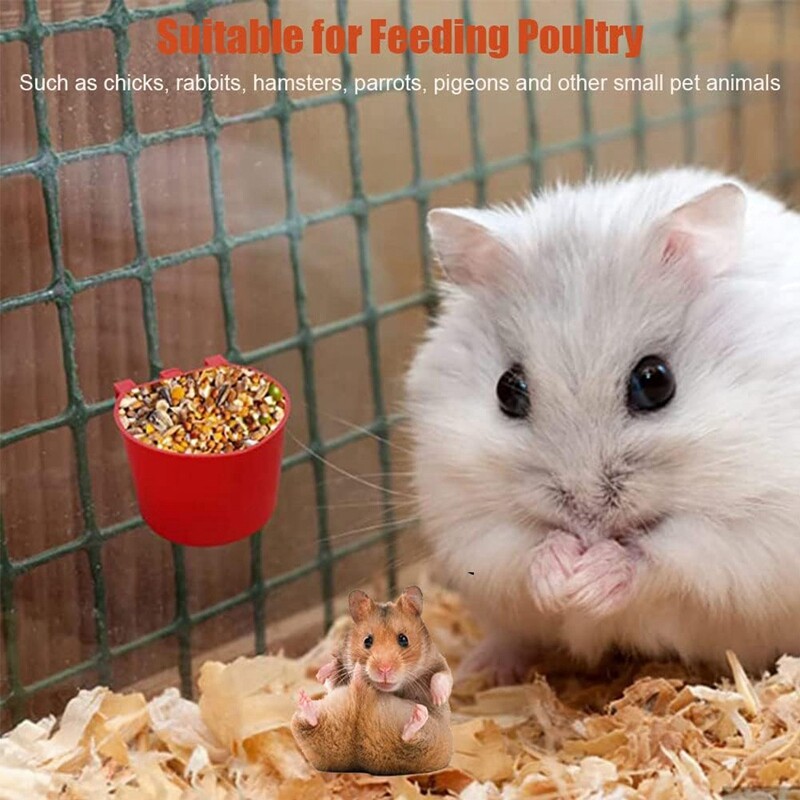 20 buc. Hranitoare pentru iepuri pentru pui Hranitoare pentru pasari din plastic Bol cu seminte pentru cusca, cana agatatoare pentru hranitoare pentru pui
