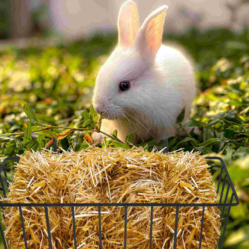 2 vnt. Triušių šieno tiektuvas, skirtas jūrų kiaulytėms, triušiams, narvams ūkyje, naminių gyvūnėlių lentynoms, mažiems, gražaus rašto pakabinamiems žaislams