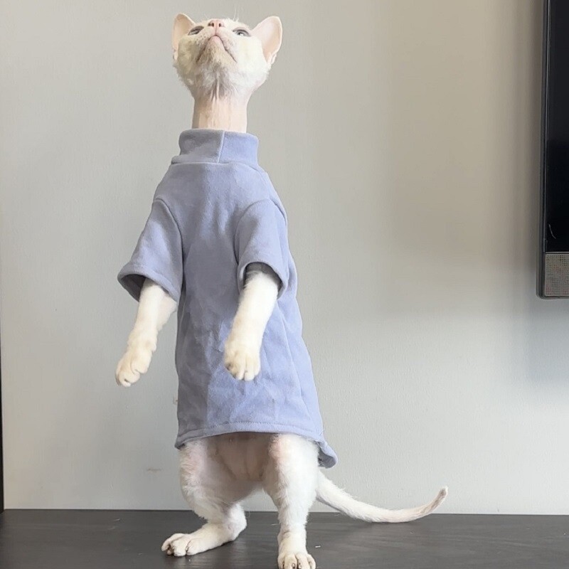 Ρούχα χωρίς τρίχες γάτας Φθινοπωρινά χειμερινά Sphynx Ζεστά βασικά πουλόβερ Devon Cornish σγουρά φθινοπωρινά χειμερινά ρούχα