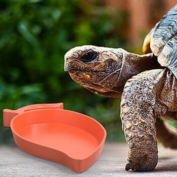 Reptile Feeding Dish Mango Shape Reptiles & Amphibians Lizard Gecko Bowls Feed Bowls Προμήθειες για τροφή για κατοικίδια