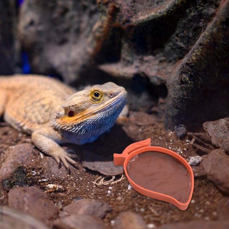 Posuda za hranjenje reptila Oblik manga Gmazovi i vodozemci Gušteri Gecko Posude za hranjenje Vakumske čašice Pribor za hranjenje kućnih ljubimaca za hranu