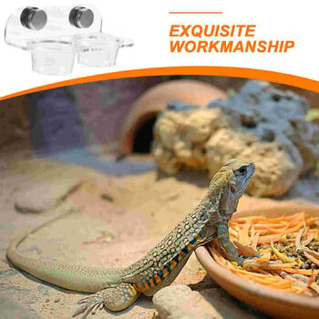 Animal Magnet Magnetic Water Feeder Cup Acrylic Plastic Leaopard Gecko Feeding Ledge Reptile