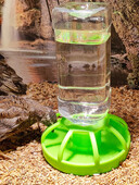 1 vnt. automatinis vandens dozatorius, vijoklinis naminių gyvūnėlių vandens dozatorius, tinka vėžliams, driežams, geriamam vandeniui ir valgymui