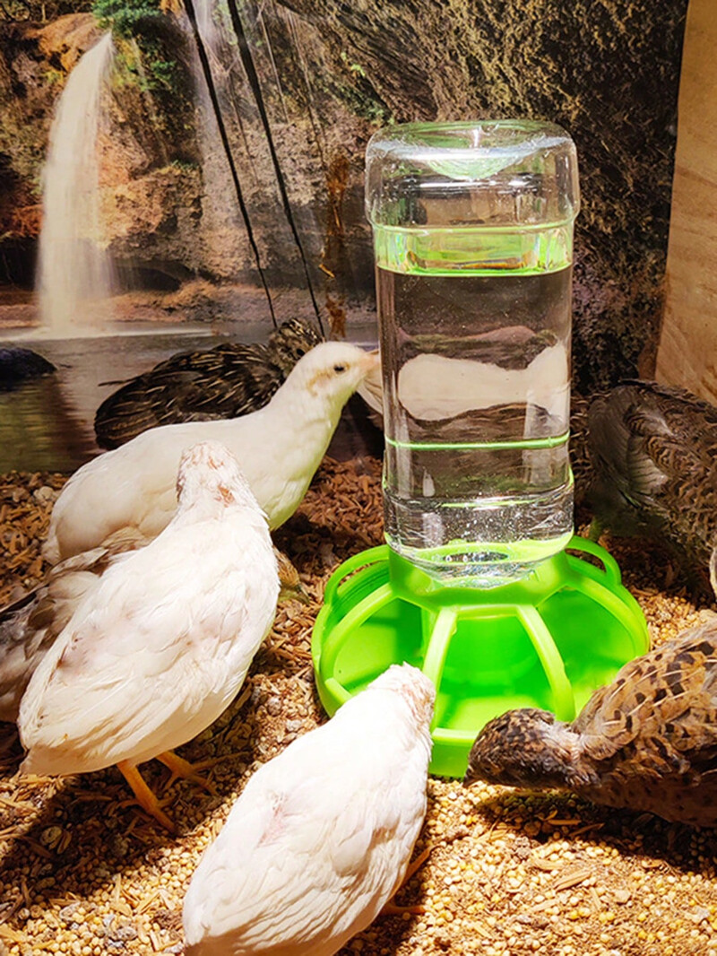 1 vnt. automatinis vandens dozatorius, vijoklinis naminių gyvūnėlių vandens dozatorius, tinka vėžliams, driežams, geriamam vandeniui ir valgymui