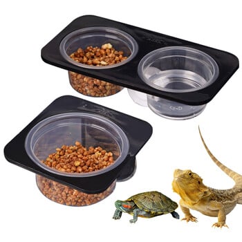 Ερπετά & Αμφιβία Σαύρα βεντούζα Gecko Feed Bowls Δοχείο τροφίμων με μπολ για τροφή και νερό για ερπετά