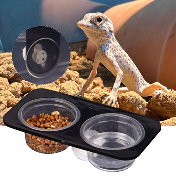 Ερπετά & Αμφιβία Σαύρα βεντούζα Gecko Feed Bowls Δοχείο τροφίμων με μπολ για τροφή και νερό για ερπετά