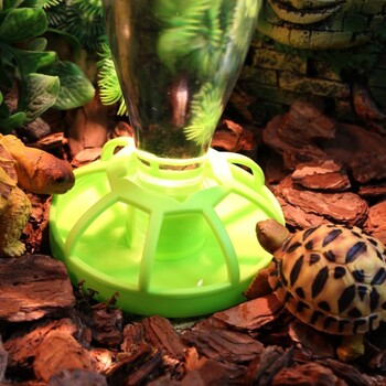 Water Feeders Waterer Tortoises Dispenser Bottle Feeding Dish for Lizards Turtle- Reptile Waterer Feeding Accessories