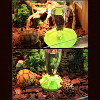 Water Feeders Waterer Tortoises Dispenser Bottle Feeding Dish for Lizards Turtle- Reptile Waterer Feeding Accessories