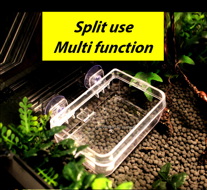 Διαφανής τροφοδότης ερπετών κατοικίδιων ζώων Αντιδιαφυγής μπολ φαγητού Σκουλήκι ζωντανό δοχείο με ισχυρές βεντούζες Προμήθειες για κατοικίδια