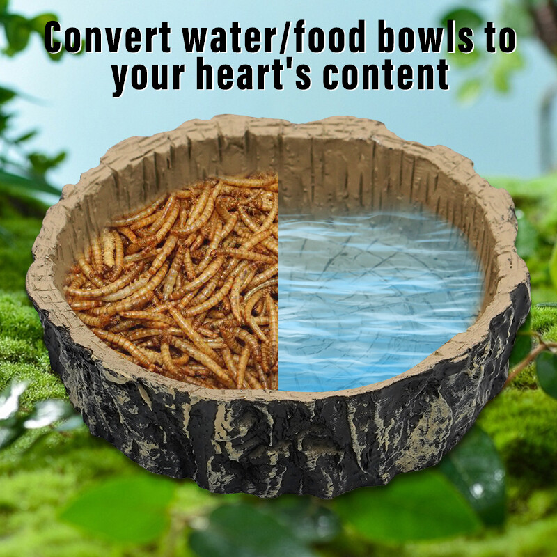 Ερπετό τροφοδότης κατοικίδιων ζώων Μπολ Λεκάνη Ρητίνη Μη τοξική τροφή Γλαστράκι με νερό Ερπετό χελώνα Σκορπιός Σαύρα Καβούρια κατοικίδια Προμήθειες