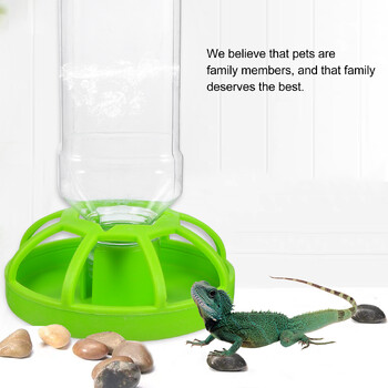 Water Feeder Earth Turtle Accessories Gecko Terrarium Accessories Reptiles for Pearlescent