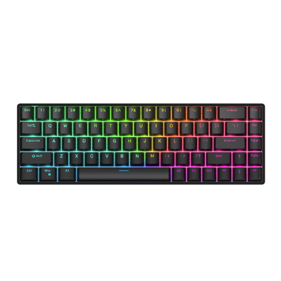 Raven68 Esports Magnetic Axis Keyboard Кабелна еднорежимна PBT прозрачна клавишна капачка 8K Return Adjustable Key68 Key Game Механична