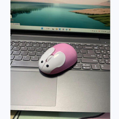 Portable Cute Cartoon 2.4g Raton inalambrico Mouse fără fir pentru computer laptop Cadouri creative