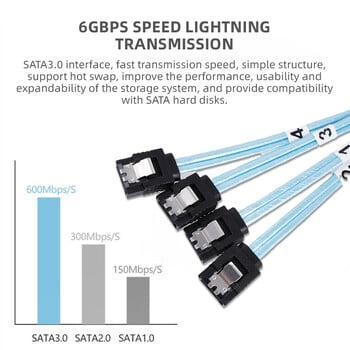 Lecolli SATA 3.0 Data Line High Speed 6Gbps Καλώδιο SAS 4xSATA 7Pin Θηλυκό σε 4xSATA 7Pin Θηλυκό καλώδιο Υψηλής ποιότητας για διακομιστή