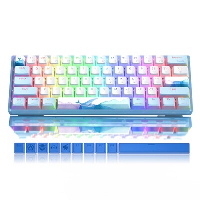 WOMIRE WK61 karstā režīmā maināma RGB mehāniskā vadu tastatūra, 60% tastatūra pielāgota minimālisma tastatūra spēļu klēpjdatoram