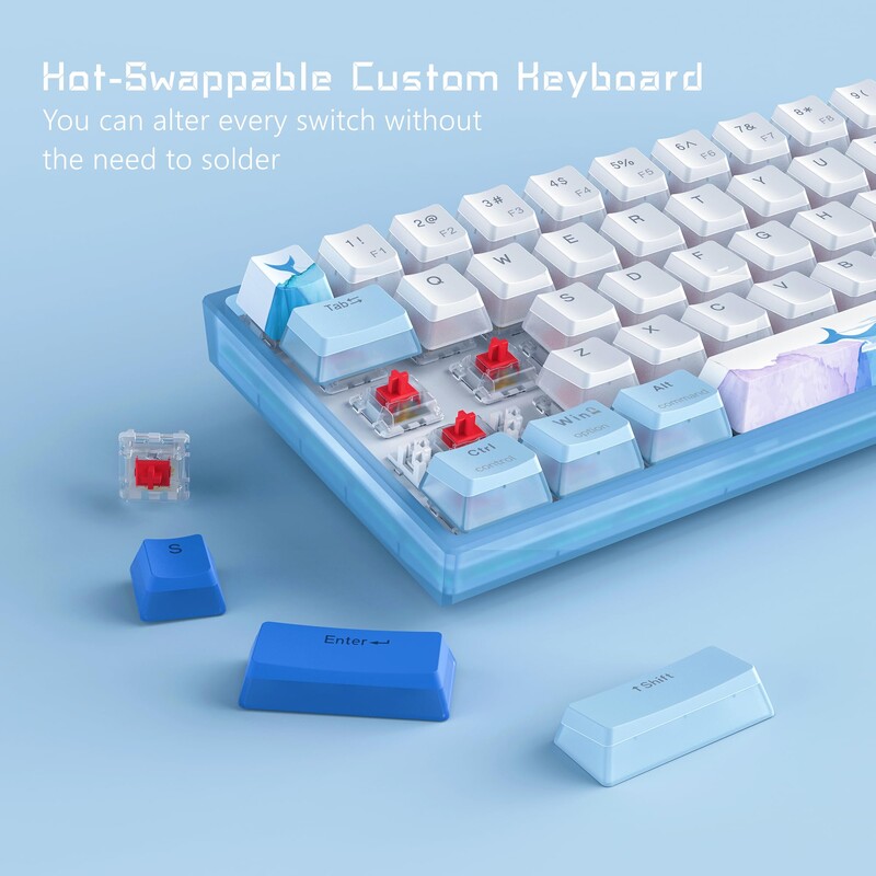 WOMIRE WK61 Tastatură mecanică cu fir RGB interschimbabilă la cald, 60% tastatură Tastatură minimalistă personalizată pentru joc, laptop, computer