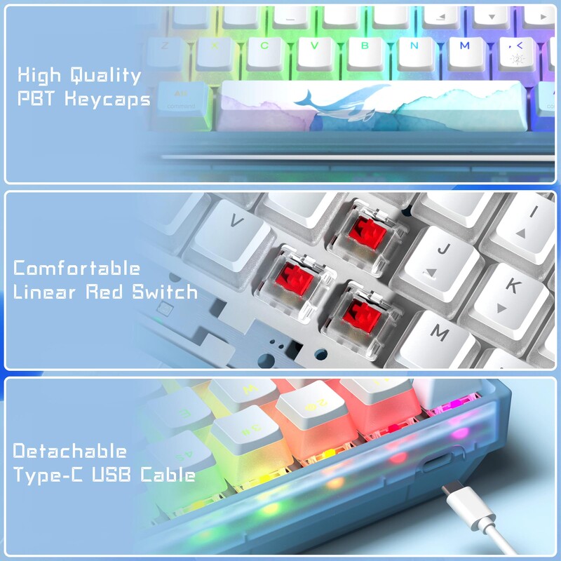 WOMIRE WK61 Tastatură mecanică cu fir RGB interschimbabilă la cald, 60% tastatură Tastatură minimalistă personalizată pentru joc, laptop, computer