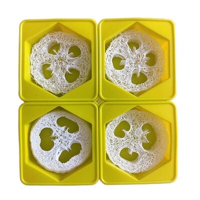 Okrugli silikonski kalup za sapun s 4 šupljine, komplet za izradu prirodnog sapuna od lufe, uključuje 4 komada izrezanih kriški od lufe