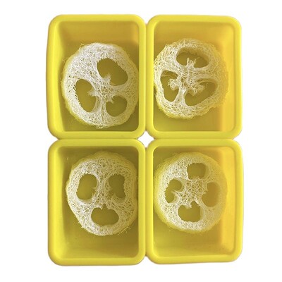 Okrugli silikonski kalup za sapun s 4 šupljine, komplet za izradu prirodnog sapuna od lufe, uključuje 4 komada izrezanih kriški od lufe