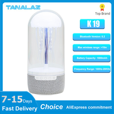 TANALAZ K19 pārnēsājams Bluetooth 5.2 skaļrunis bezvadu skaļrunis 3D telpiskās skaņas zemfrekvences skaļrunis Mūzikas atskaņotājs Audio mājas kinozāles skaņas sistēma