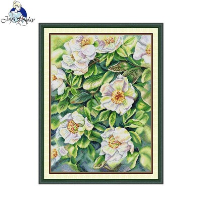 Joy Sunday Komplet za vezenje križićem Bijeli šipak HD uzorak Aida 16/14/11CT Brojano ispisano platno Komplet za vezenje DIY Ručni radovi Novo