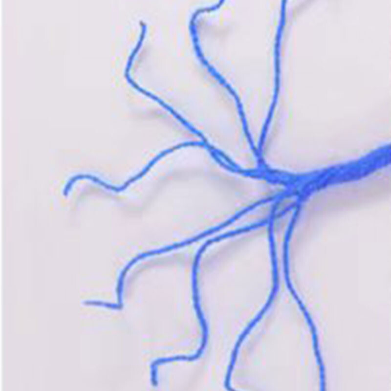 100 g/kamuolys Minkšti 8 sluoksniai pieninės medvilnės verpalai Apvalūs adatų siūlai mezgimui Vilnoniai siūlai Megztinis „Pasidaryk pats“ kepurė Šalikas šiltas mezgimas rankomis