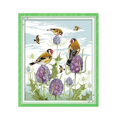 Džiaugsmo sekmadienio kryžminio dygsnio rinkiniai Raudonsnapiai Leiothrix raštai „pasidaryk pats“ siuvinėjimo adata