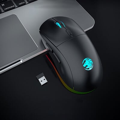 G301 Επαναφορτιζόμενο USB 2.4G Ασύρματο Bluetooth RGB Ελαφρύ ποντίκι παιχνιδιών Επιτραπέζιο υπολογιστή Υπολογιστές Φορητός υπολογιστής Φορητός υπολογιστής Ποντίκια Mause Gamer Cute