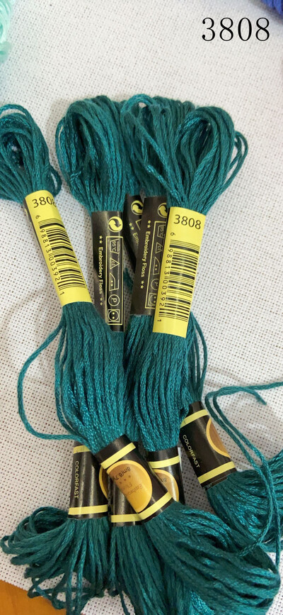 DIY DMC3809-3827 Fire de broderie cu ață dentară 10 buc. Kit pentru cusături în cruce Seturi pentru cusături în cruce pentru ață dentară 11.12