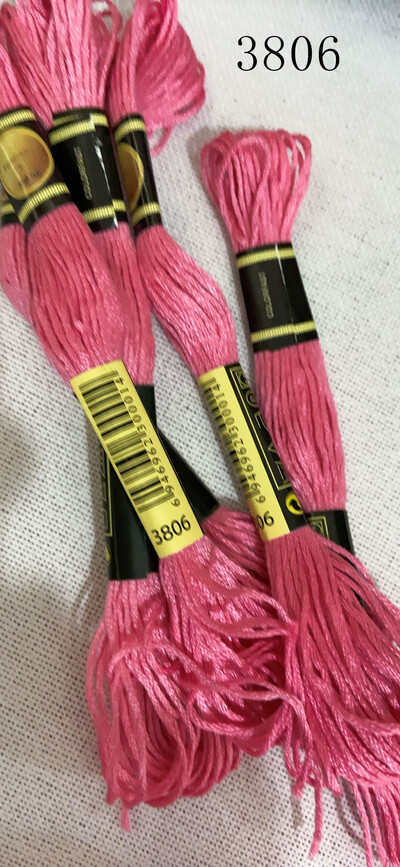 DIY DMC3809-3827 Fire de broderie cu ață dentară 10 buc. Kit pentru cusături în cruce Seturi pentru cusături în cruce pentru ață dentară 11.12