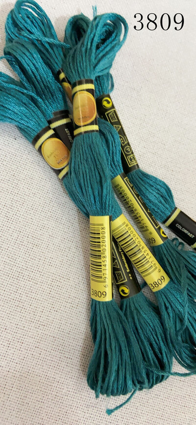 DIY DMC3809-3827 Fire de broderie cu ață dentară 10 buc. Kit pentru cusături în cruce Seturi pentru cusături în cruce pentru ață dentară 11.12