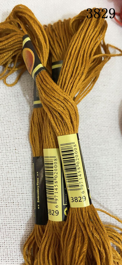 DIY DMC3809-3827 Fire de broderie cu ață dentară 10 buc. Kit pentru cusături în cruce Seturi pentru cusături în cruce pentru ață dentară 11.12