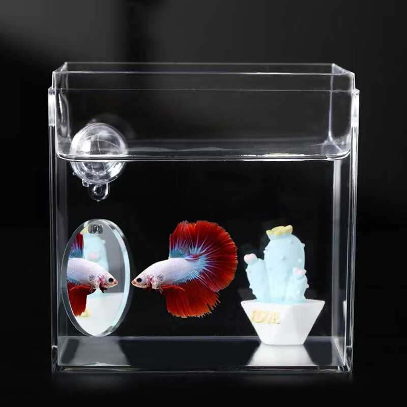 Akrilinis akvariumas Betta Mirror Fish Tank plūduriuojantis apvalus veidrodis žuvims Betta Flowerhorn Cichlid Training 4cm/5cm/6cm/7cm/8cm/9cm
