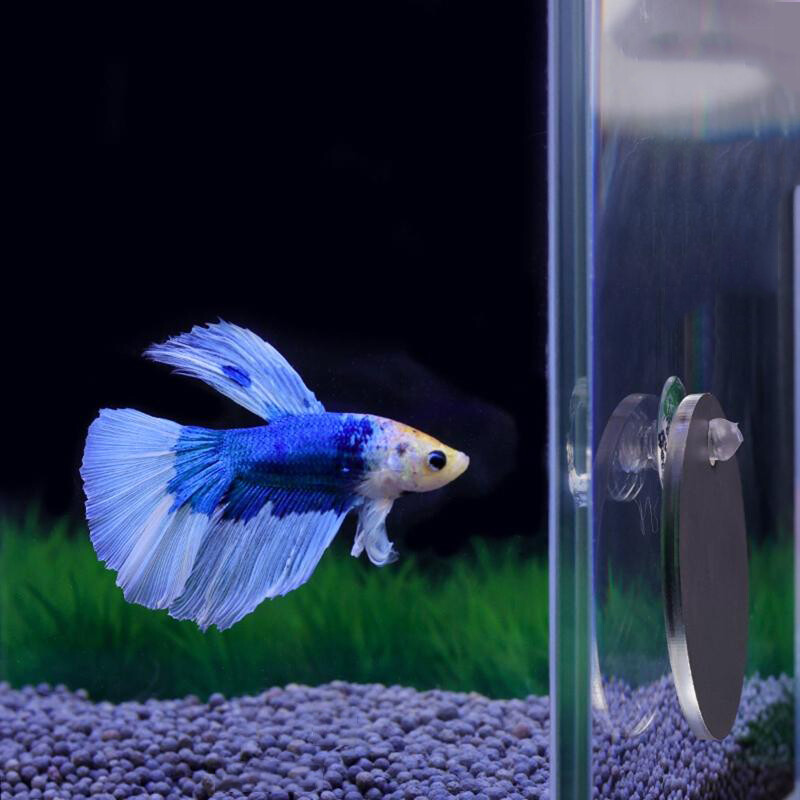 Akrilinis akvariumas Betta Mirror Fish Tank plūduriuojantis apvalus veidrodis žuvims Betta Flowerhorn Cichlid Training 4cm/5cm/6cm/7cm/8cm/9cm