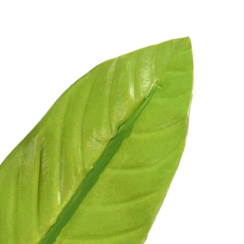 Akváriumi akvárium Betta ágylevél függőágy dekoráció tereprendezés szimuláció Betta ívás pihenő levelek vízi