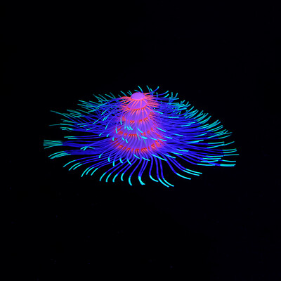 Silikono žėrinčios dirbtinės šakos koralų akvatorijos dekoracijos, šviečiančios tamsoje netikrų koralų papuošalų akvariumo povandeninis dekoras