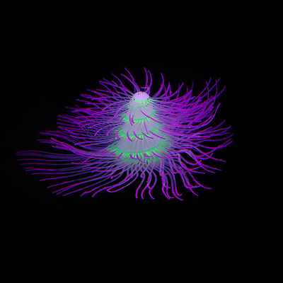 Silikono žėrinčios dirbtinės šakos koralų akvatorijos dekoracijos, šviečiančios tamsoje netikrų koralų papuošalų akvariumo povandeninis dekoras