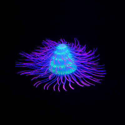 Silikono žėrinčios dirbtinės šakos koralų akvatorijos dekoracijos, šviečiančios tamsoje netikrų koralų papuošalų akvariumo povandeninis dekoras