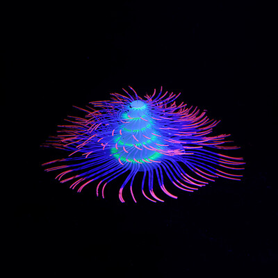 Silikono žėrinčios dirbtinės šakos koralų akvatorijos dekoracijos, šviečiančios tamsoje netikrų koralų papuošalų akvariumo povandeninis dekoras