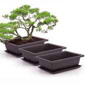 Kvetináče Imitácia fialovej hlinenej sukulentnej rastliny Kvetináče Vonkajšia záhrada Krajina Bonsai Kvetináče Tácky Obdĺžnikový Štvorcový Kvetináč