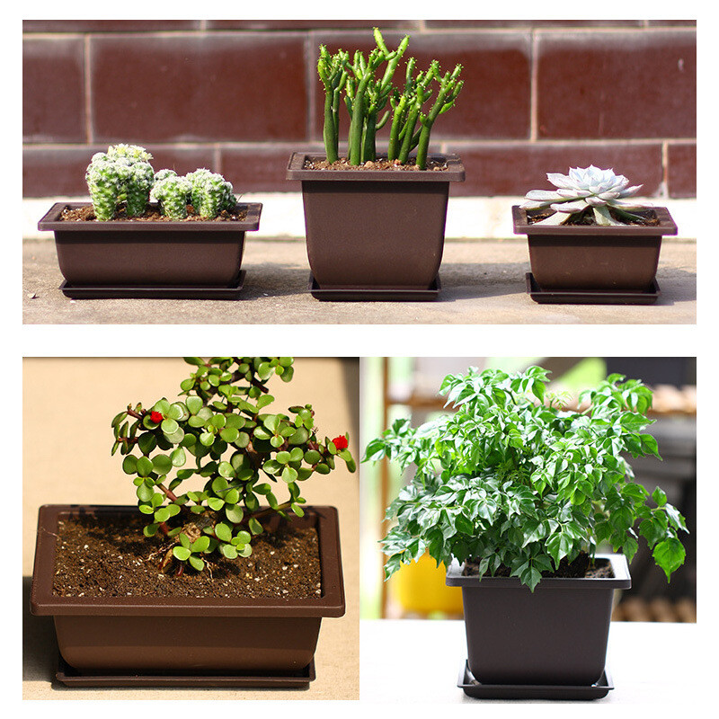 Kvetináče Imitácia fialovej hlinenej sukulentnej rastliny Kvetináče Vonkajšia záhrada Krajina Bonsai Kvetináče Tácky Obdĺžnikový Štvorcový Kvetináč