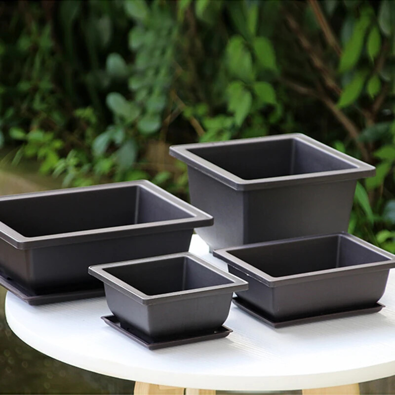 Kvetináče Imitácia fialovej hlinenej sukulentnej rastliny Kvetináče Vonkajšia záhrada Krajina Bonsai Kvetináče Tácky Obdĺžnikový Štvorcový Kvetináč