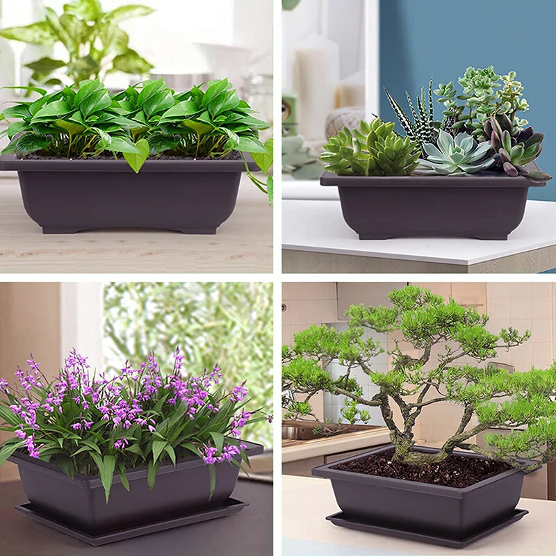 Kvetináče Imitácia fialovej hlinenej sukulentnej rastliny Kvetináče Vonkajšia záhrada Krajina Bonsai Kvetináče Tácky Obdĺžnikový Štvorcový Kvetináč