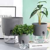 Posuda za cvijeće koja se samozalijeva Plastična hidroponska posuda za biljke Prozirna dvoslojna pamučna užad za zalijevanje Sukulentne posude za biljke