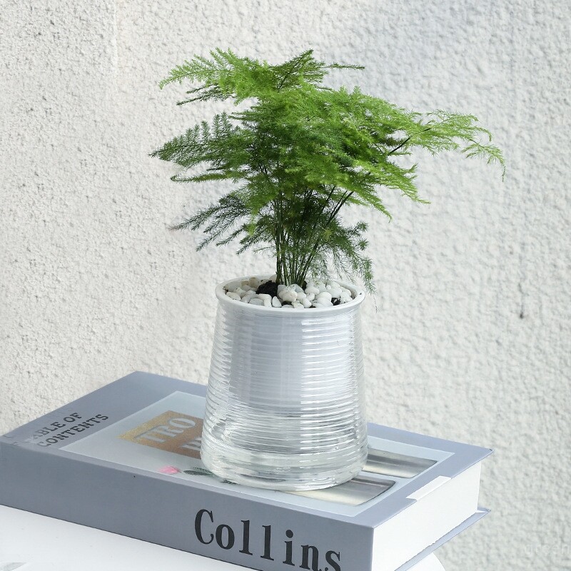 Lonac za hidroponičko bilje Samozalivajući Lonac za cvijeće Unutarnja mini žardinjera za sukulente Stolna vaza Samozalivajući kućni ured Bonsai dekor