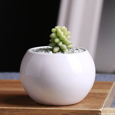Keraminis gėlių vazonas, sultingas augalų vazonas kaktusas bonsai sodinimo vazonas Laivai Biuro darbastalio apdaila Balkonas Hidroponinis konteineris