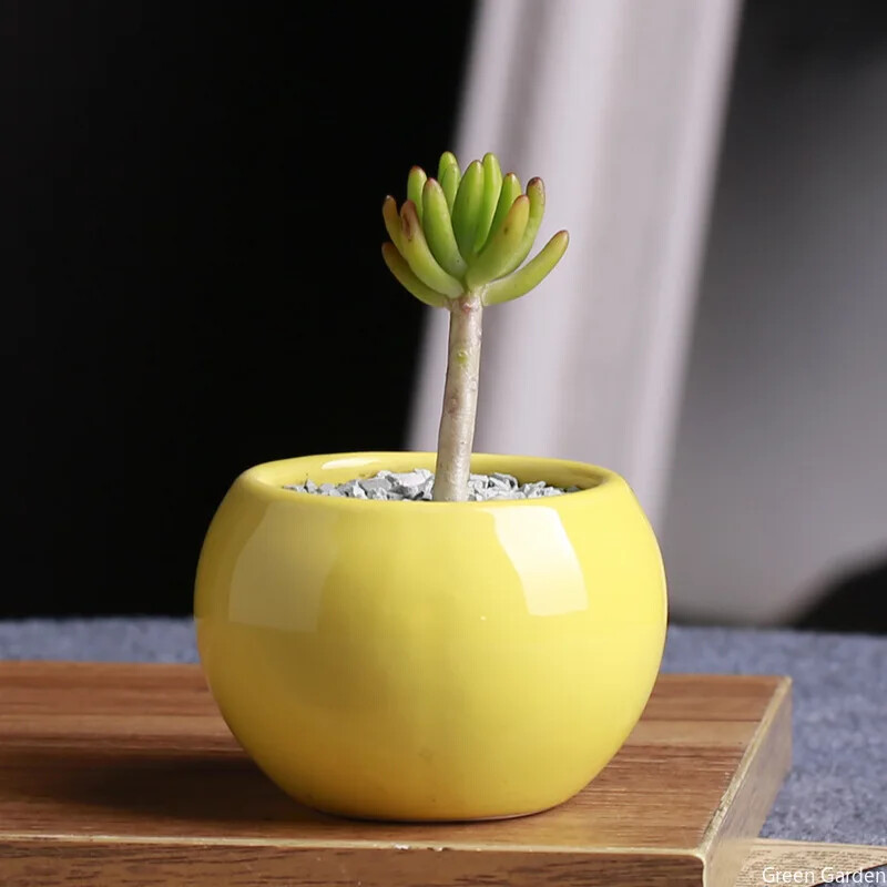 Keraminis gėlių vazonas, sultingas augalų vazonas kaktusas bonsai sodinimo vazonas Laivai Biuro darbastalio apdaila Balkonas Hidroponinis konteineris