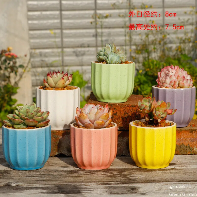 Keraminis gėlių vazonas, sultingas augalų vazonas kaktusas bonsai sodinimo vazonas Laivai Biuro darbastalio apdaila Balkonas Hidroponinis konteineris