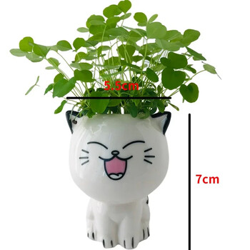 1 τμχ Κεραμική γλάστρα Mini Cat Cartoon Cute Plant Desktop Potted Plant Pot DIY Decorate Toys Science Education School Gifts